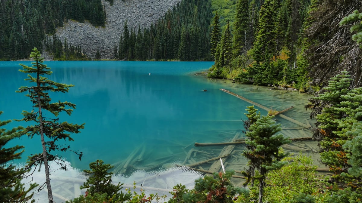 Ein türkiser See umrandet von grüner Natur in Kanada